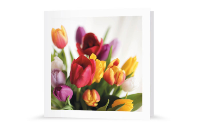 Grußkarte | Tulpenpracht