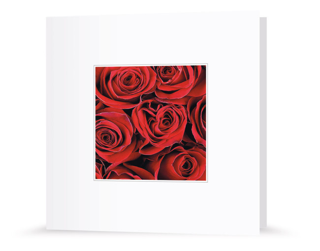 Grußkarte | Rosen