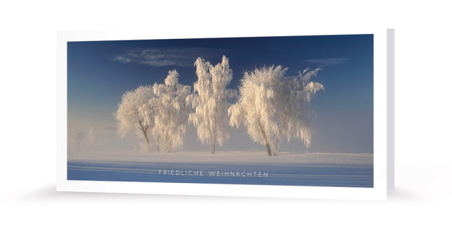 Weihnachtskarte | Winterwonderland