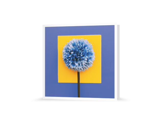 Grußkarte | Bastelblume
