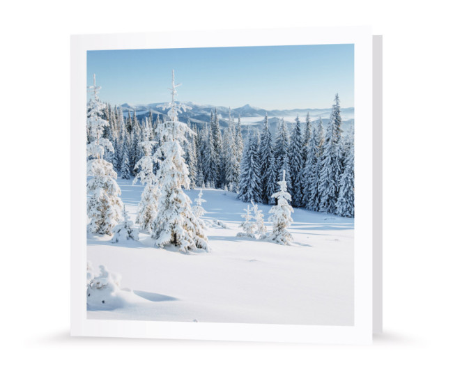 Weihnachtskarte | Winterlandschaft